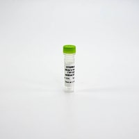 HTRF Human and Mouse Total HDAC4 Detection Kit, Control Lysate