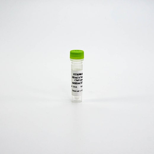 HTRF Human and Mouse Total HDAC4 Detection Kit, Control Lysate