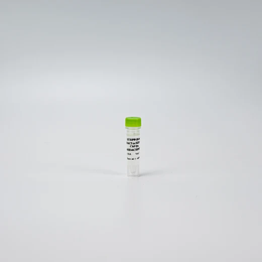 Photo HDAC5 Phospho-S259 control lysate