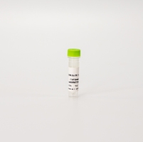 HTRF Human Total Progesterone Receptor Detection Kit, Control Lysate