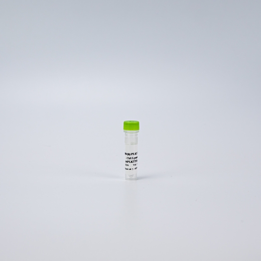 HTRF Human Total PLK1 Detection Kit, Control Lysate