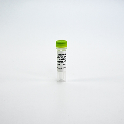 HTRF Total SMARCA-2 Lysate