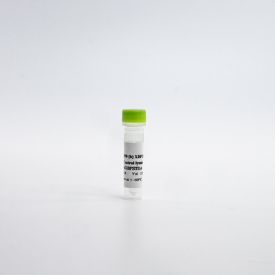 HTRF Human Total XBP1s Detection Kit, Control Lysate