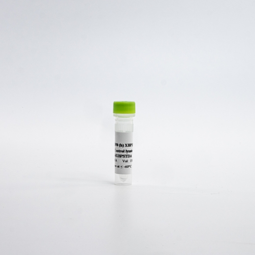 HTRF Human Total XBP1s Detection Kit, Control Lysate