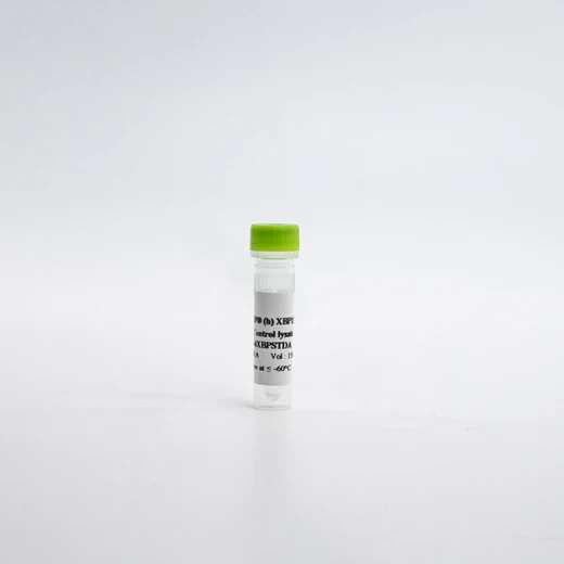 HTRF Human Total XBP1s Detection Kit, Control Lysate