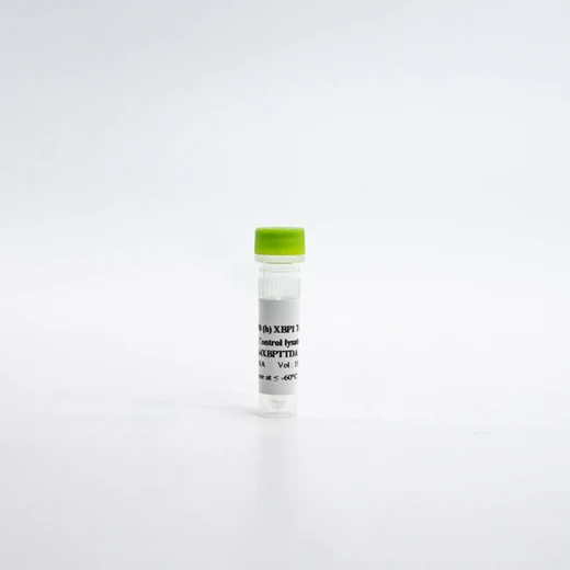 HTRF Human Total XBP1 Detection Kit, Control Lysate