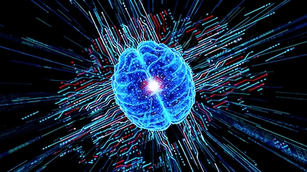 Physiological512x288