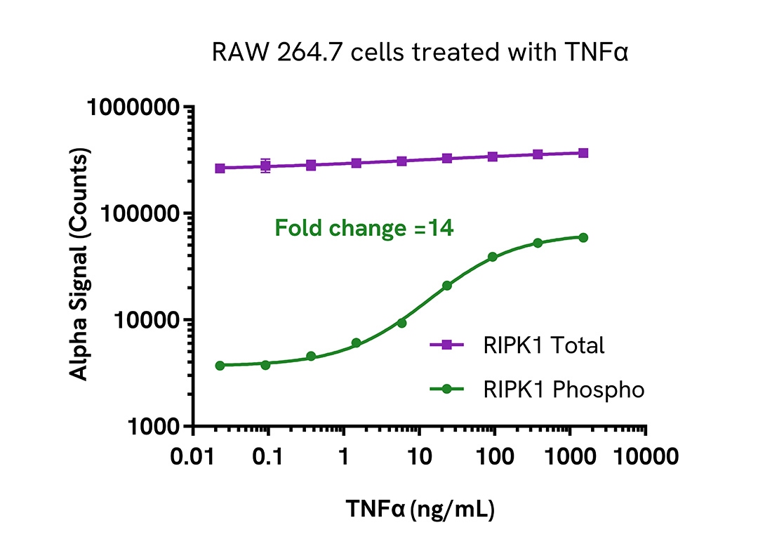 Pharmacological Validation (activator) of Phospho RIPK1 Ser321