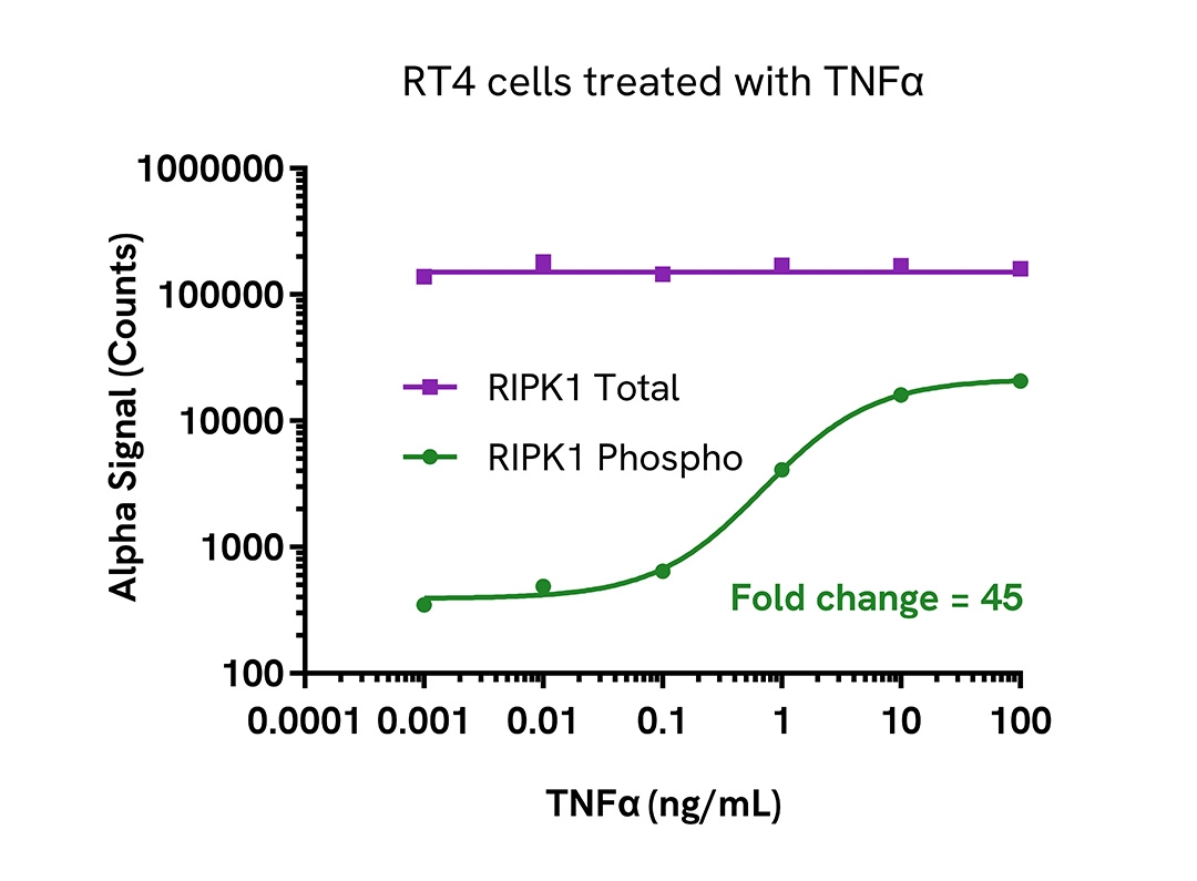 Pharmacological Validation (activator) of Phospho RIPK1 Ser320