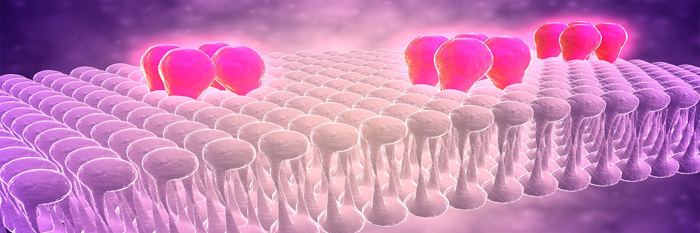 Radioligand Binding Assays- From Opiate Receptors to Drug Discovery Mainstay