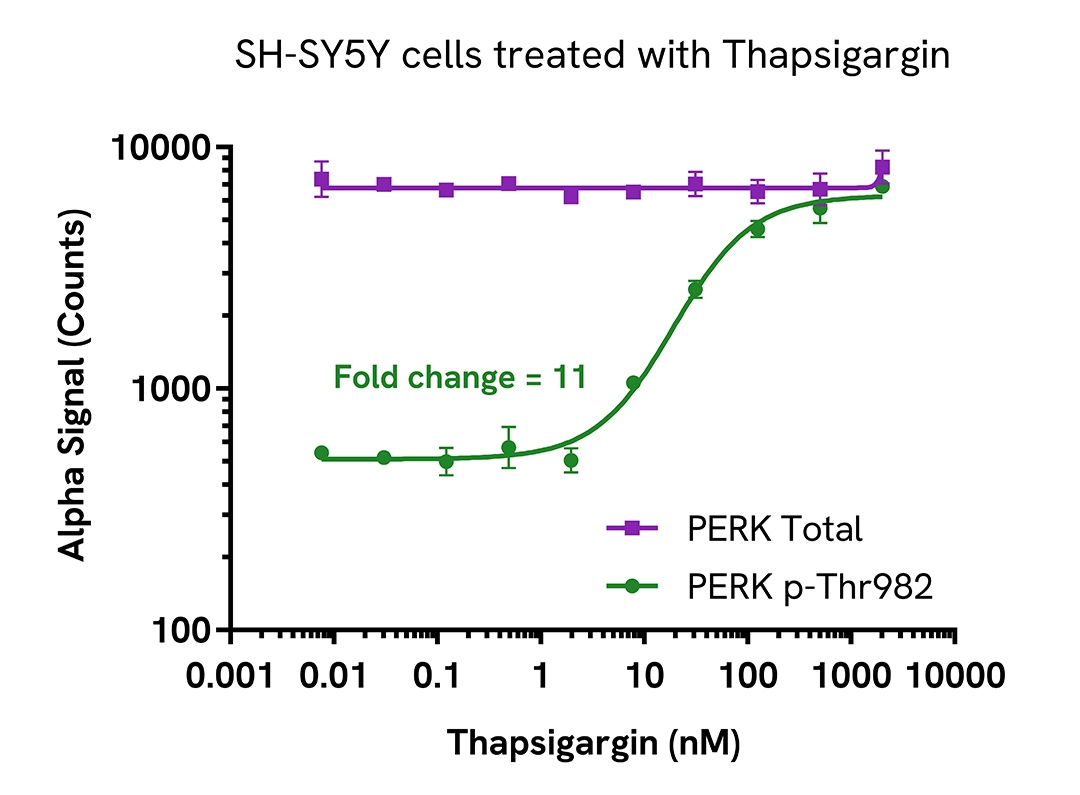 Pharmacological Validation (activator) of Phospho-PERK (Thr982)