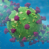 Sars-Cov2-in-wastewater-160x160