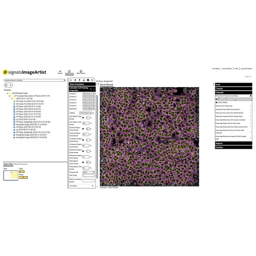 Signals Image Artist Image Data Analysis and Management Platform