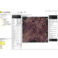 Signals Image Artist Image Data Analysis and Management Platform