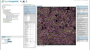 Signals-Img artist_img1b.jpg