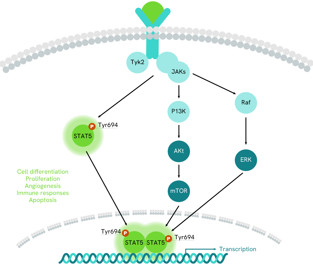 Simplified pathway