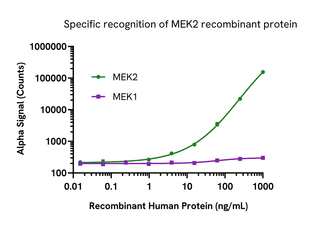 MEK2 assay specificity