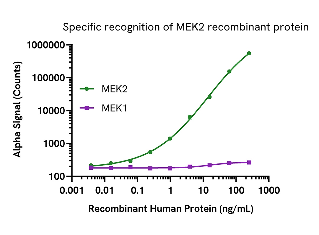 MEK2 assay specificity