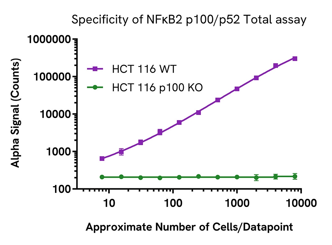 Specificity validation of NFκB2 p100/p52 Total