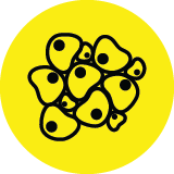 TissueBasedBiomarker