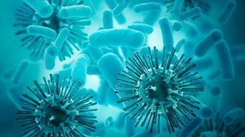 Tulip solutions_344x194.jpg