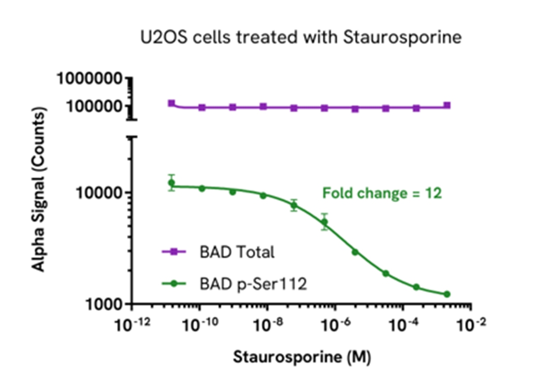 Pharmacological Validation of BAD Total