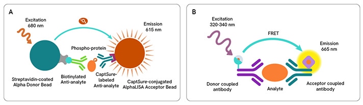 UPDATE-Alpha-HTRF-assay-principles-combined-712