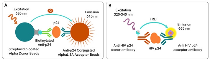 UPDATE-HIV-p24-assay-principles-combined-712