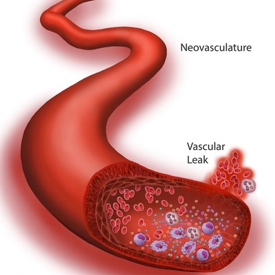 Vascular Panel Illustration