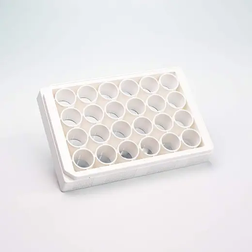 VisiPlate-24, White 24-well Microplate with Clear Bottom