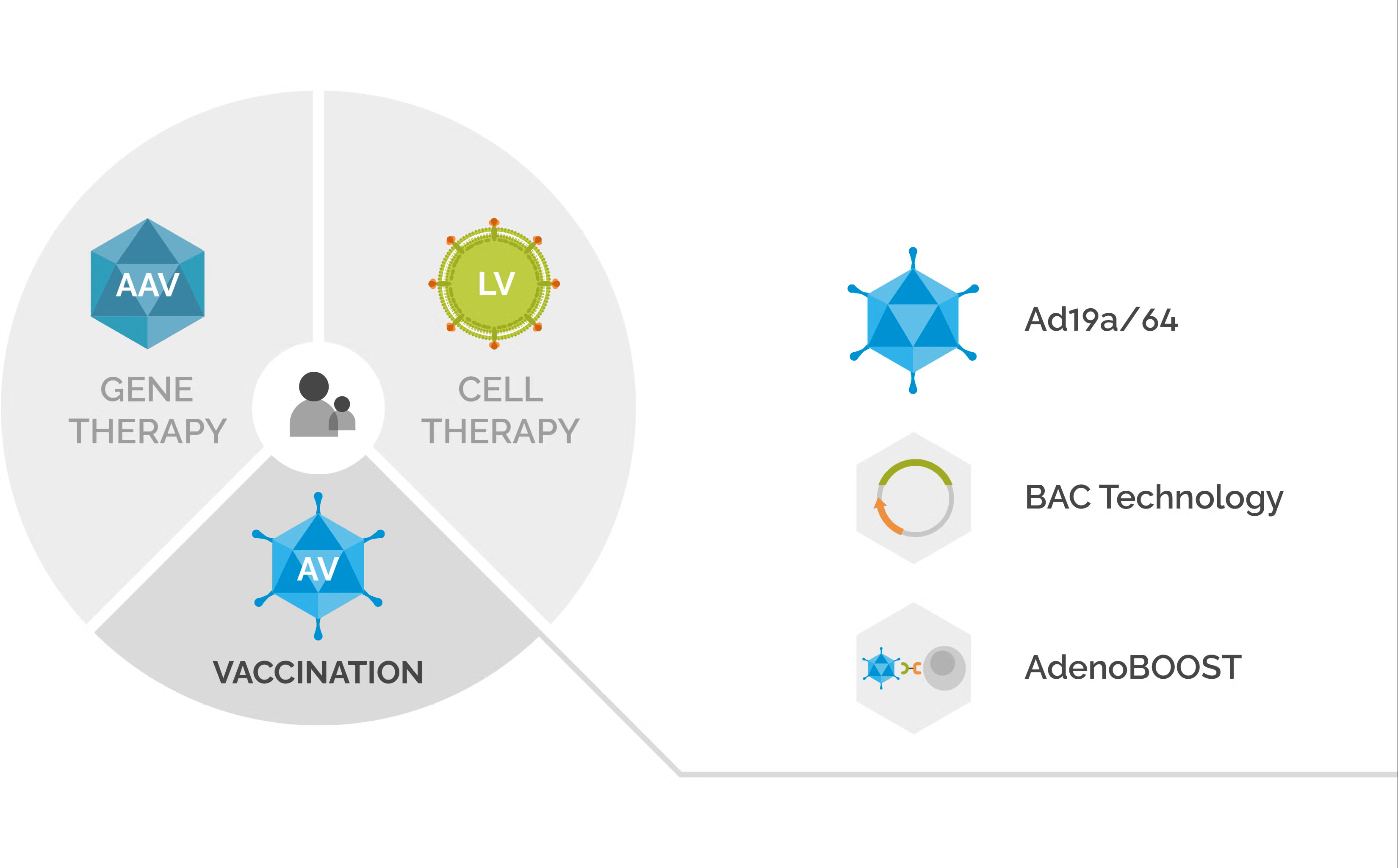 A complete guide to viral vectors