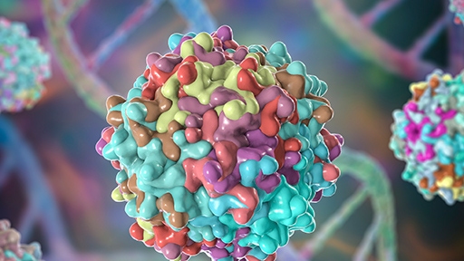 aav-capsid-detection_512x288