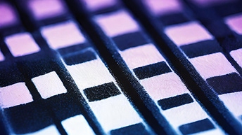 abstract western blot biolegend 512 x 288 px