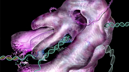 accelerating-cells-512