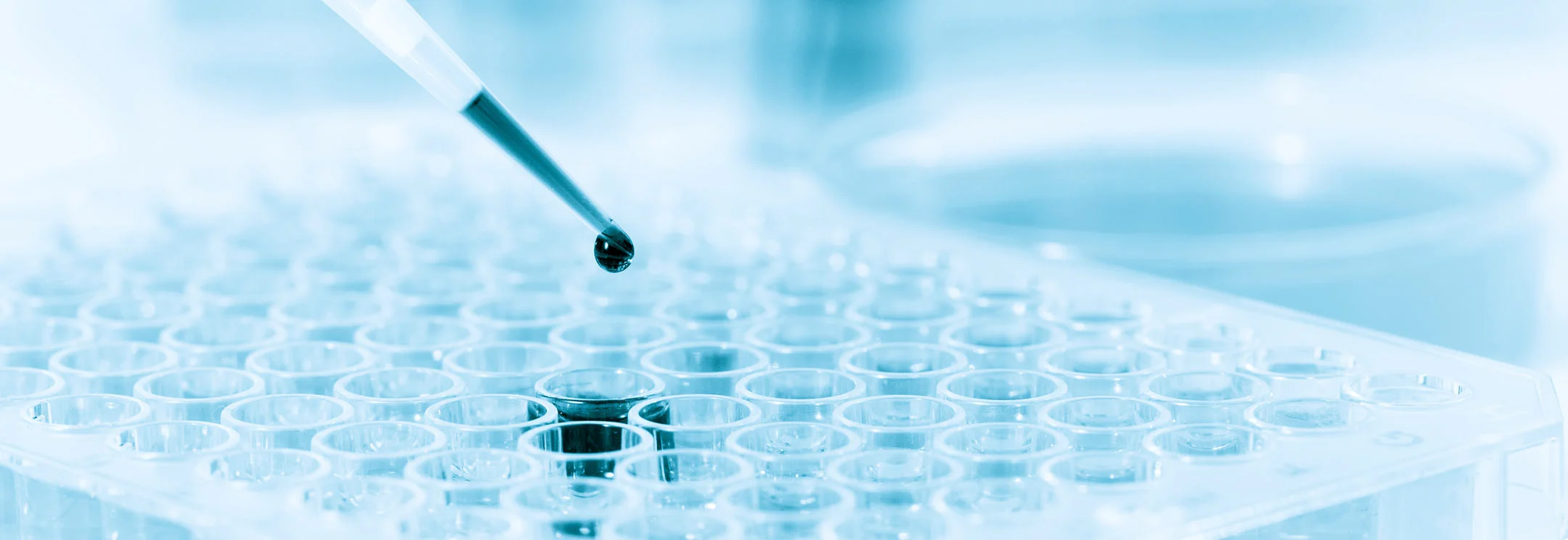 ADME/Tox Studies Solutions for Drug Development | Revvity