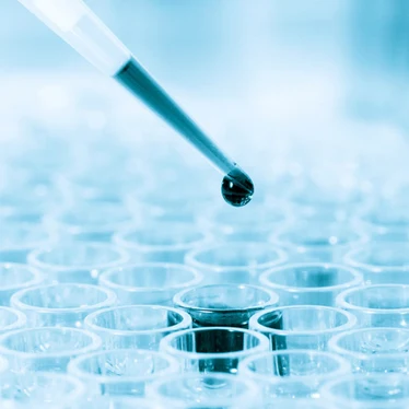 ADME/Tox Studies Solutions for Drug Development | Revvity