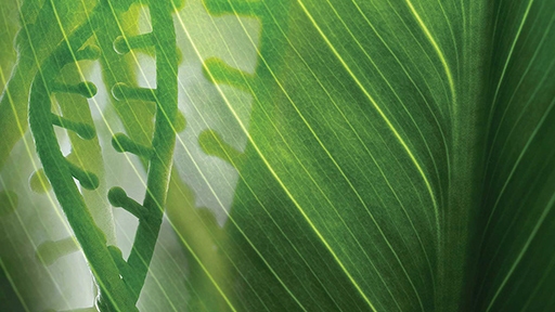 ag-genomics_Thumbnail_512x288