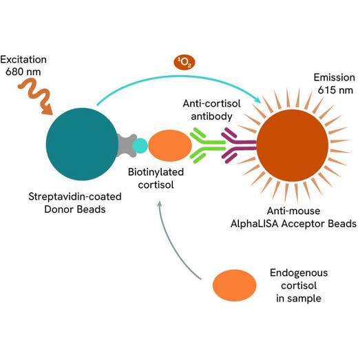 Cortisol (human) AlphaLISA Detection Kit