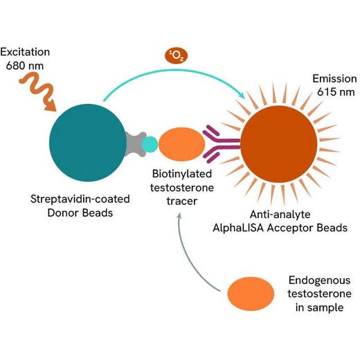 Testosterone AlphaLISA Detection Kit