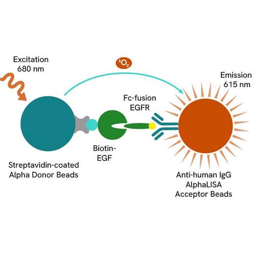 EGF/EGFR AlphaLISA Binding Kit