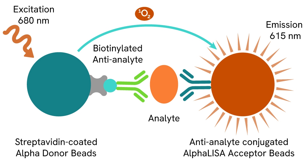 alpha antibody detection and characterization fig 1