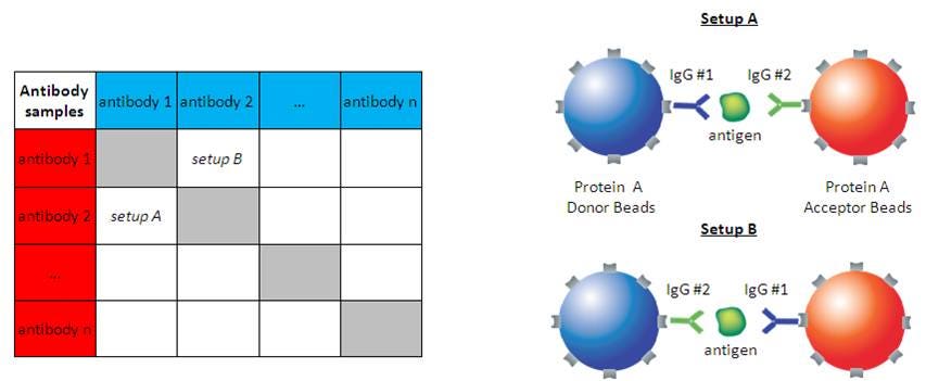 alpha-antibody-detection-and-characterization