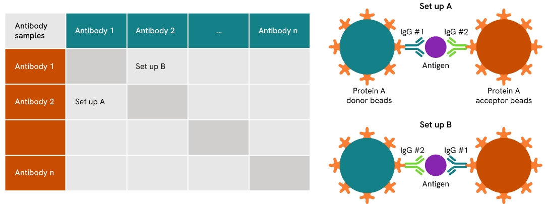 alpha antibody detection and characterization fig6