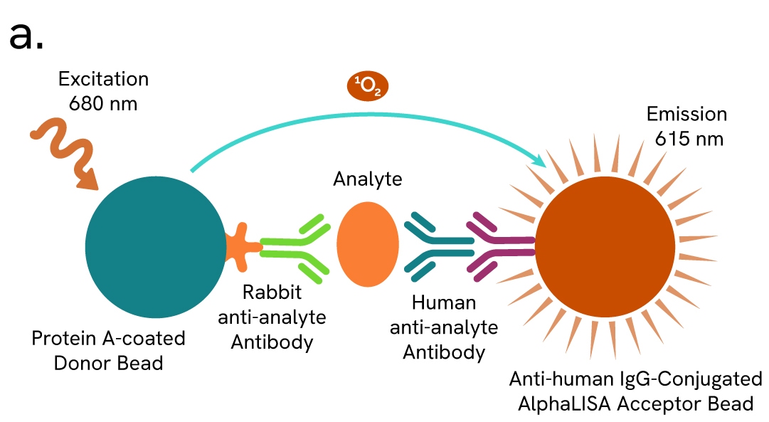 alpha bead selection fig4 a