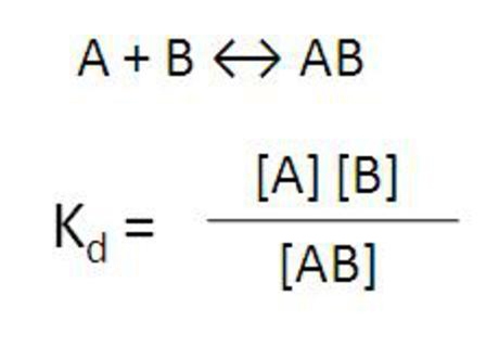 alpha-design-development-fig2.jpg