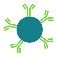Alpha Donor Bead Antibody Conjugated image
