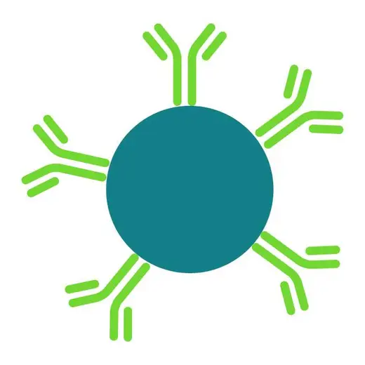 Alpha Donor Bead Antibody Conjugated image