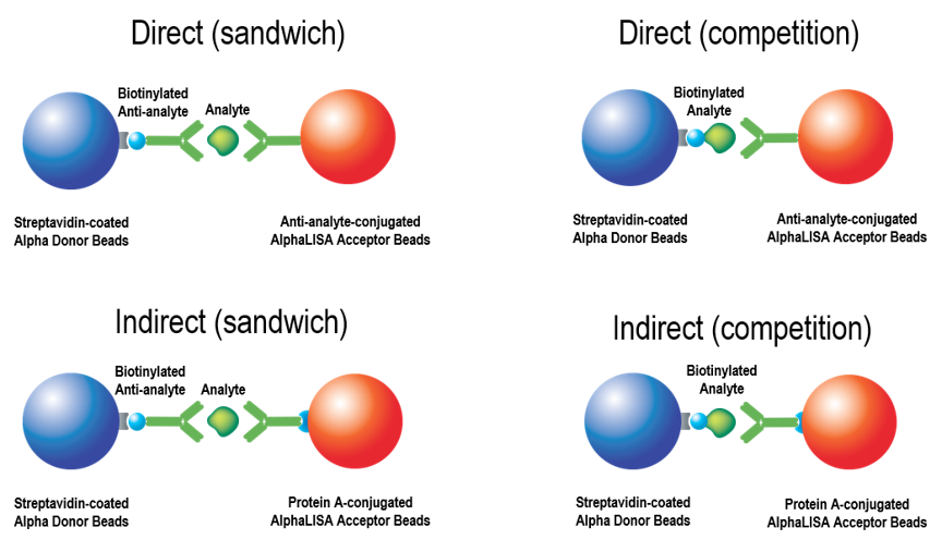 alpha-immunoassay-design-fig1