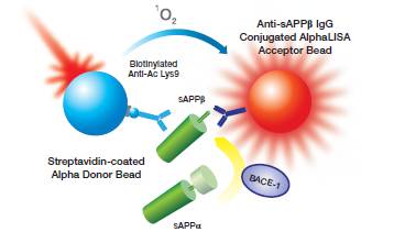 alpha-protease-assays