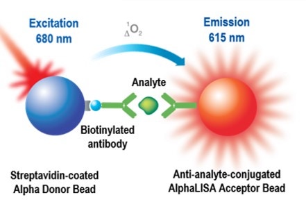 alphaLISA-immunoassay-kits